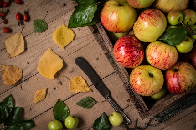 Recién manzanas en una vieja caja de madera vintage