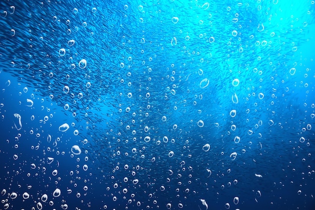 recife de bolhas de ar subaquático de fundo/fundo abstrato do mar, mergulho, natureza, oceano