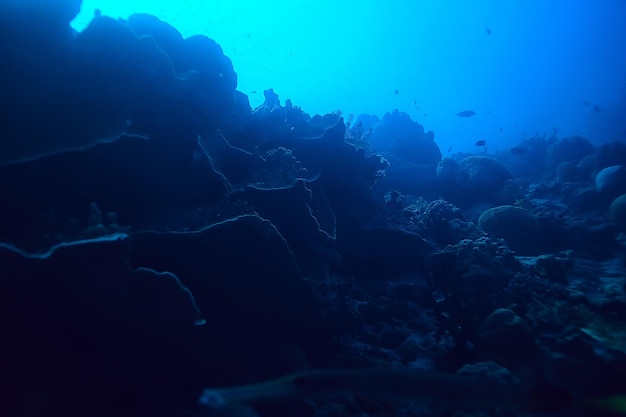 recife de coral subaquático / lagoa de coral marinho, ecossistema oceânico