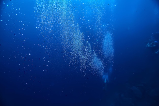 recife de coral subaquático/mar lagoa de coral, ecossistema oceânico