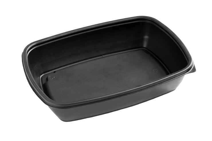 Foto recipiente de comida isolado
