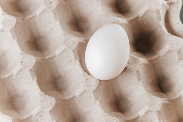Foto recipiente de papelão para ovos com um ovo em um close-up de célula.