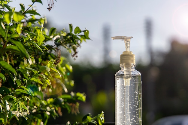 Recipiente de gel de alcohol junto a una planta