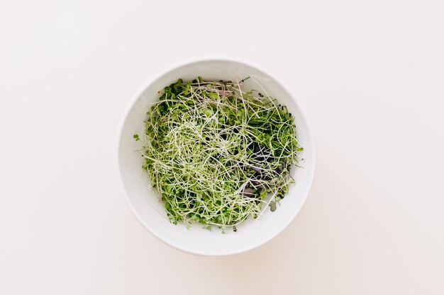 Recipiente con microgreens en mesa