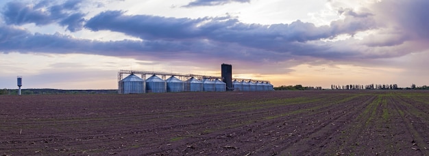 Recipientes metálicos industriales para almacenamiento de semillas de girasol en grano, maíz, soja