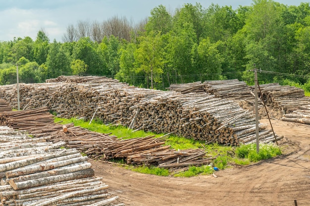 Recolección de leña Entrega de madera por ferrocarril