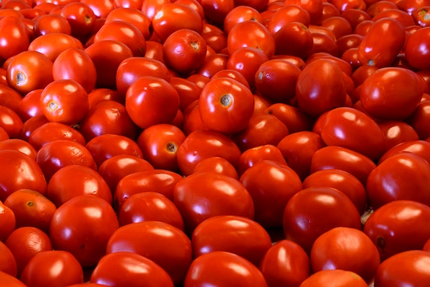 Recolección y puré de tomate clásico hecho a mano con un antiguo fabricante de salsa de prensa de metal