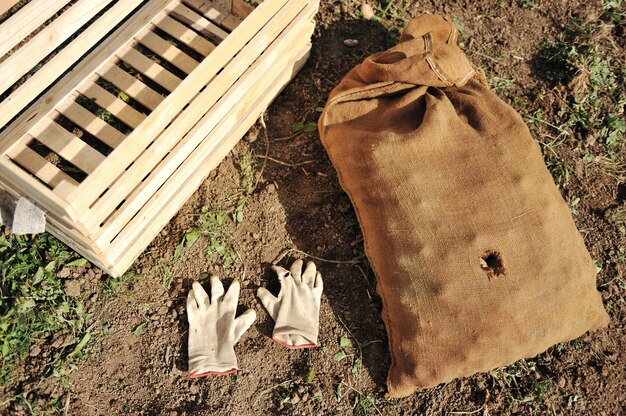 Recolectando cosecha en otoño, herramientas, guantes, caja vacía y bolsa para ella