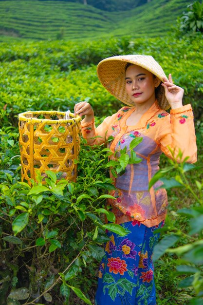 Foto un recolector de té posando entre los jardines de té con una cesta y un sombrero de bambú temprano en la mañana