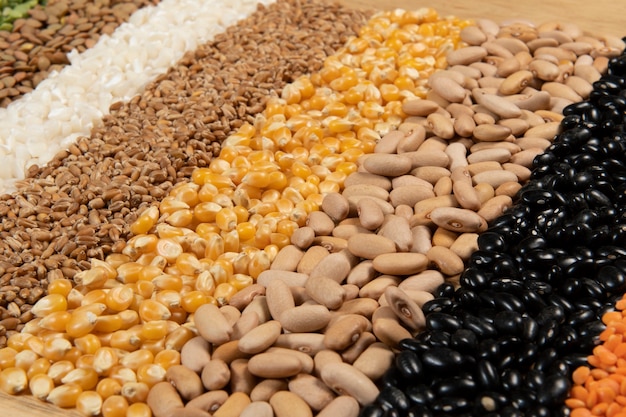 Recolha de diferentes variedades de cereais e sementes secas comestíveis. Exemplos de fontes de fibra