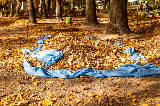 Recolhendo folhas de outono - paisagem, limpando o parque.