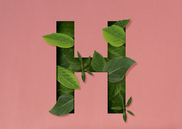 Foto recorte de forma de letra h con hojas verdes.