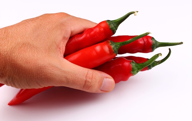 Red Hot Chili Pepper in der Hand isolieren