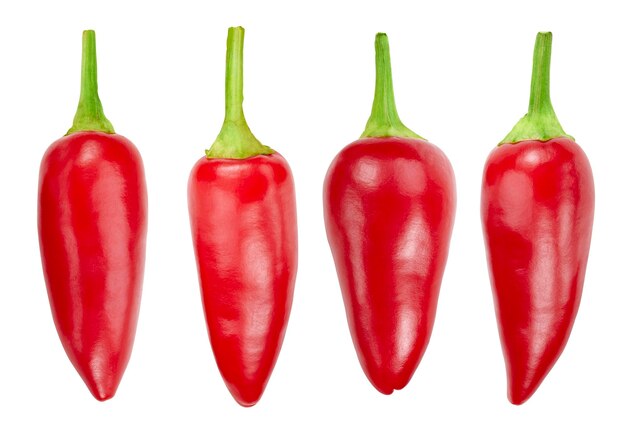 Red Hot Chili-Sammlung aus biologischem Anbau