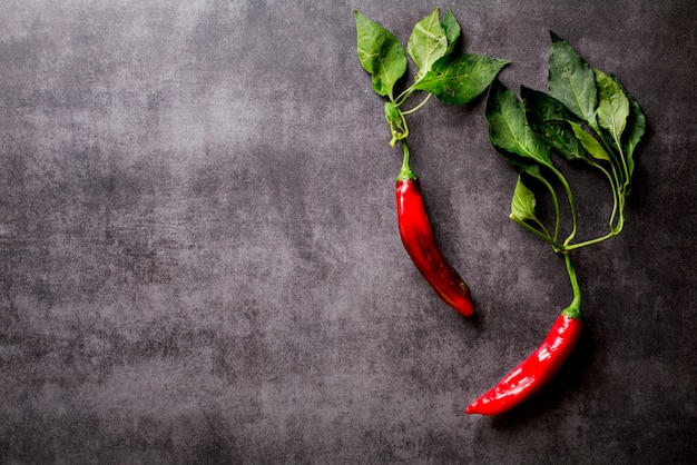 Red Hot Pepper von Chile auf einem dunklen Hintergrund.