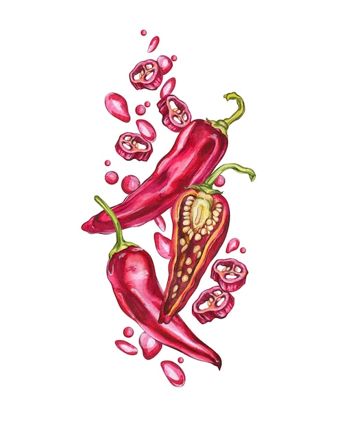 Red Hot Peppers Ilustración acuarela de verduras Ilustración para el diseño de menú de café y restaurante Composición de pimientos y chispitas