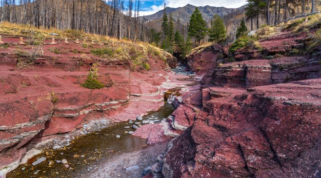 Red rock canyon im herbstlaubsaisonmorgen. blauer himmel, weiße wolken und berge im hintergrund. waterton lakes national park, alberta, kanada.