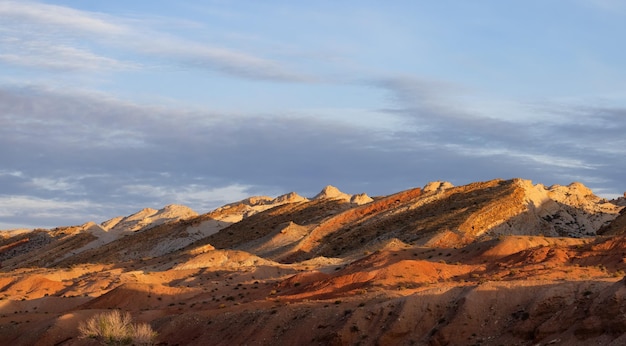 Red rock mountains in der wüste bei sonnenaufgang frühlingssaison