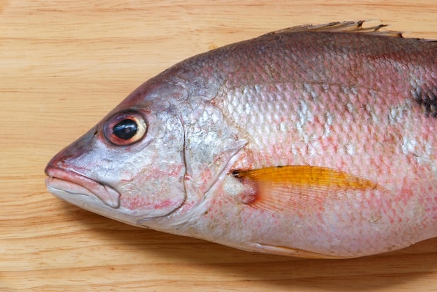 Red Snapper Fisch auf Holzhackbrett