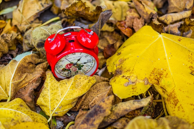 Red Vintage Uhr in gelben Blätter im Herbst