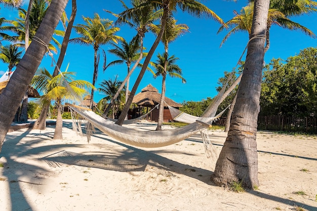 Rede de descanso vazia com barco e canoa pendurada na areia em um lindo resort de praia mexicano