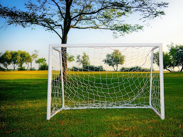 Rede de futebol em pastagens