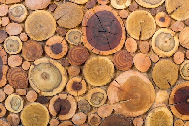 Redondo de madera sin pintar sólido natural ecológico suave color marrón y amarillo tocones de fondo, secciones de corte de árbol de diferentes tamaños para la textura del fondo de la almohadilla. Hágalo usted mismo concepto de arte.