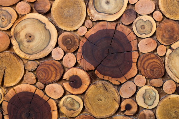 Redondo de madera sin pintar sólido natural ecológico suave color marrón y amarillo tocones de fondo, secciones de corte de árbol de diferentes tamaños para la textura del fondo de la almohadilla. Hágalo usted mismo concepto de arte.