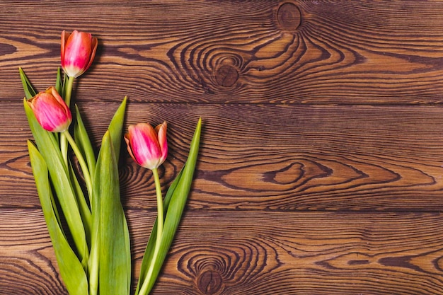 Redorange Tulpen auf einem hölzernen Hintergrund mit Platz für Text Flach lag