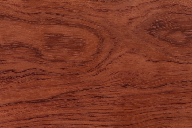 Redwood-Hintergrund oder Textur. Hallo res Foto.
