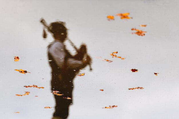 Foto reflejado en agua con hojas de gaitero