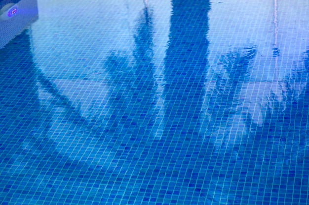 Foto reflejo del árbol de la fecha en la piscina de color turquesa sombra de una palmera sobre un fondo de textura de mosaico de mármol azul toma submarina de agua clara de la piscina con fondo de mosaico