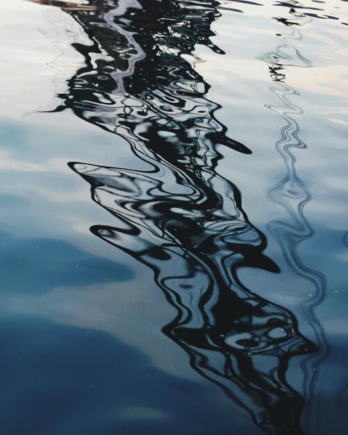 Foto reflejo del árbol en el lago