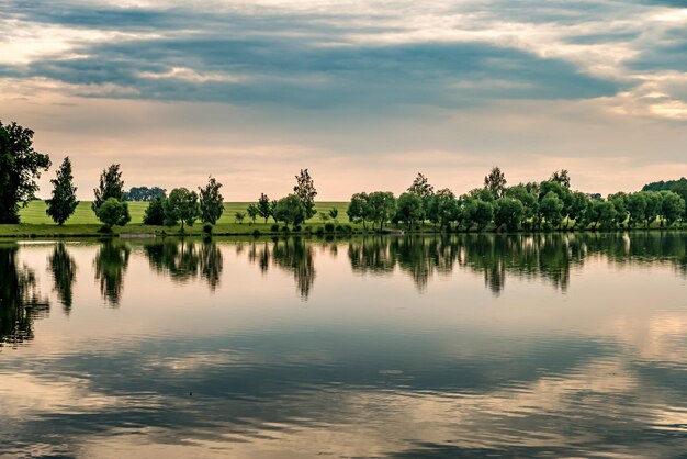 Reflejo de árboles en el agua de un lago en una tranquila tarde de verano