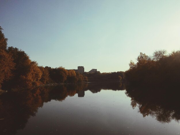 Foto reflejo de los árboles en el agua