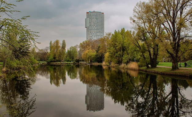 Reflejo de arboles en el agua