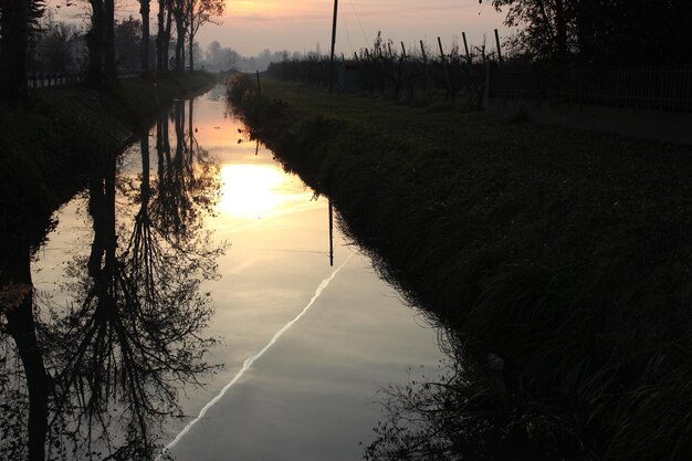 Foto el reflejo de los árboles en un canal tranquilo