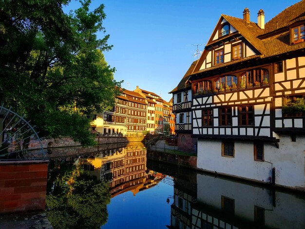 Reflejo de árboles y casas en el canal