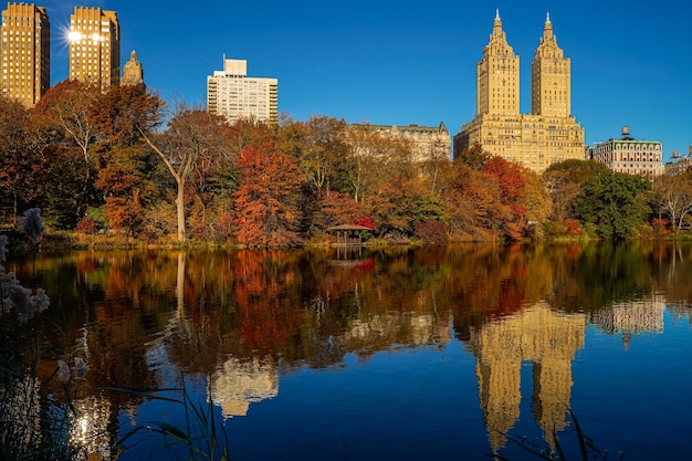 Reflejo de árboles y edificios en el lago