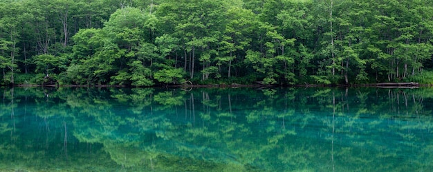 Foto el reflejo de los árboles en kamikochi nagano