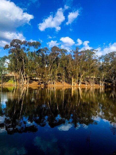 El reflejo de los árboles en el lago contra el cielo azul