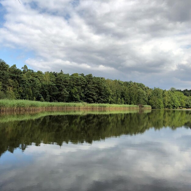 Foto reflejo de los árboles en el lago contra el cielo