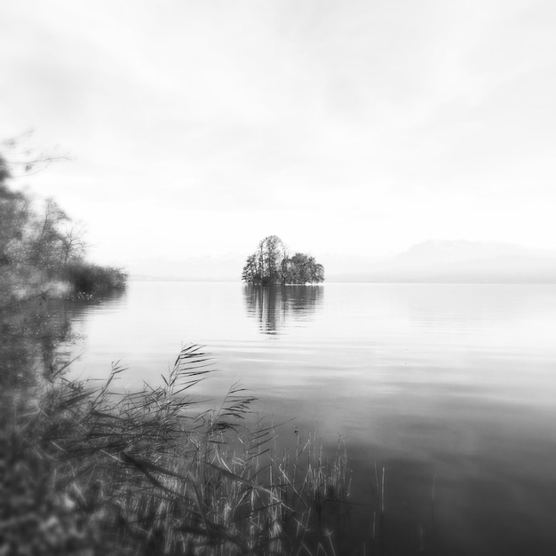 Foto reflejo de árboles en un lago tranquilo