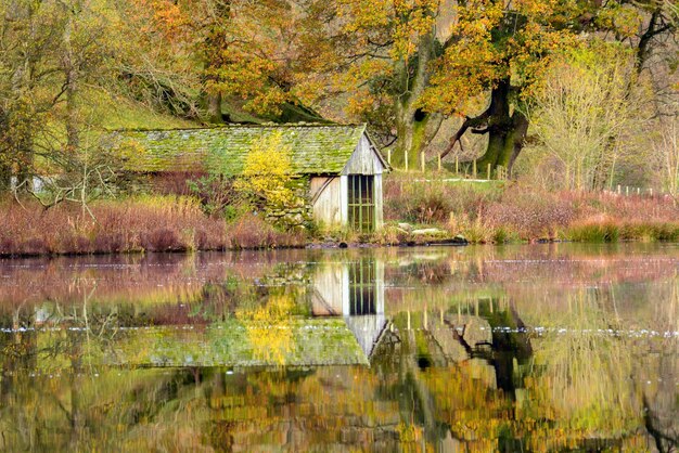 Foto reflejo de los árboles en el lago