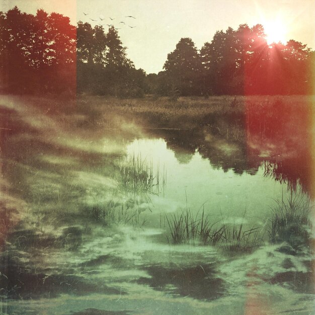 Foto el reflejo de los árboles en un lago