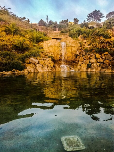 Foto reflejo de los árboles en el lago