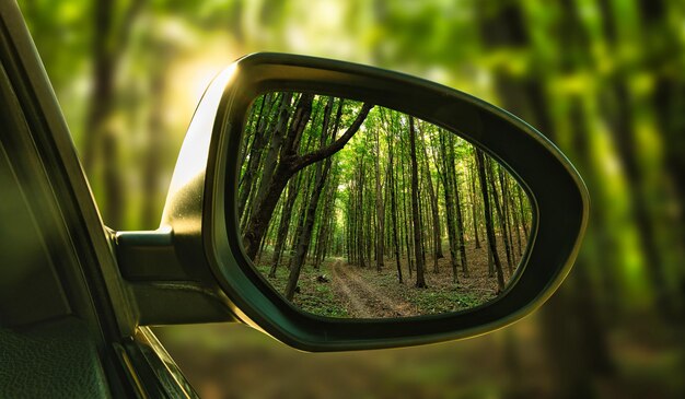 El reflejo del bosque en el espejo de un auto caro