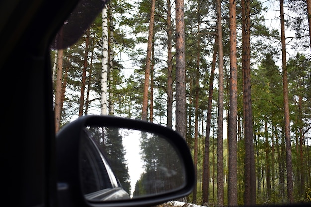 Reflejo del bosque en el espejo del coche.