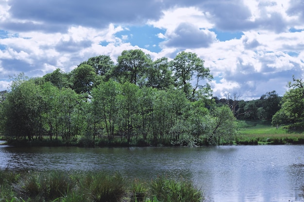 Reflejo del cielo en la naturaleza del lago en verano