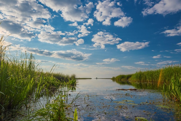 Reflejo del cielo y las nubes en un lago con juncos.